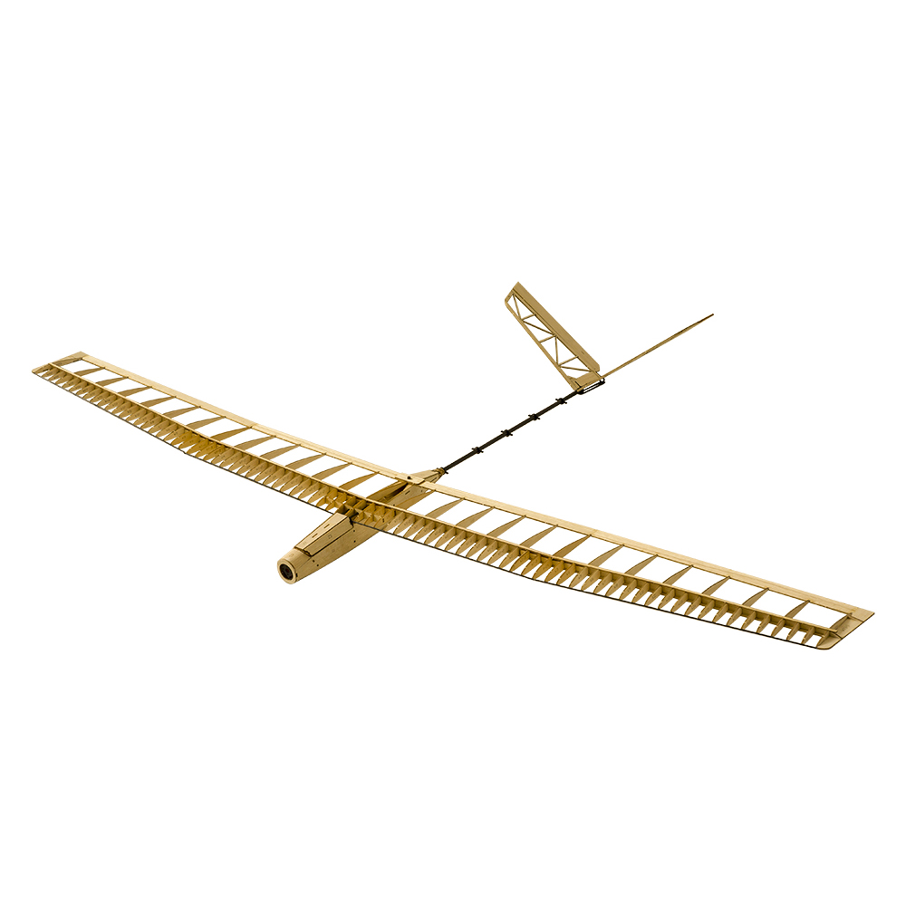 DW Hobby RC Glider Aircraft U- - Rc Hobby Experts avaliação e preço