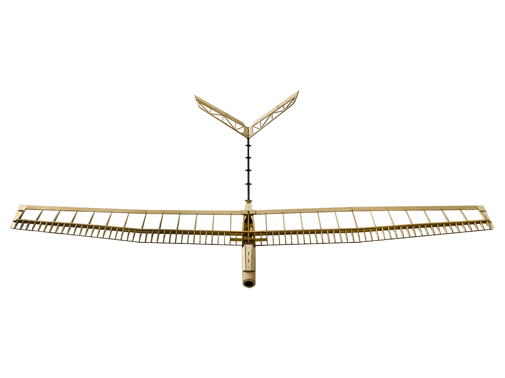 DW Hobby RC Glider Aircraft U- - Rc Hobby Experts avaliação e preço