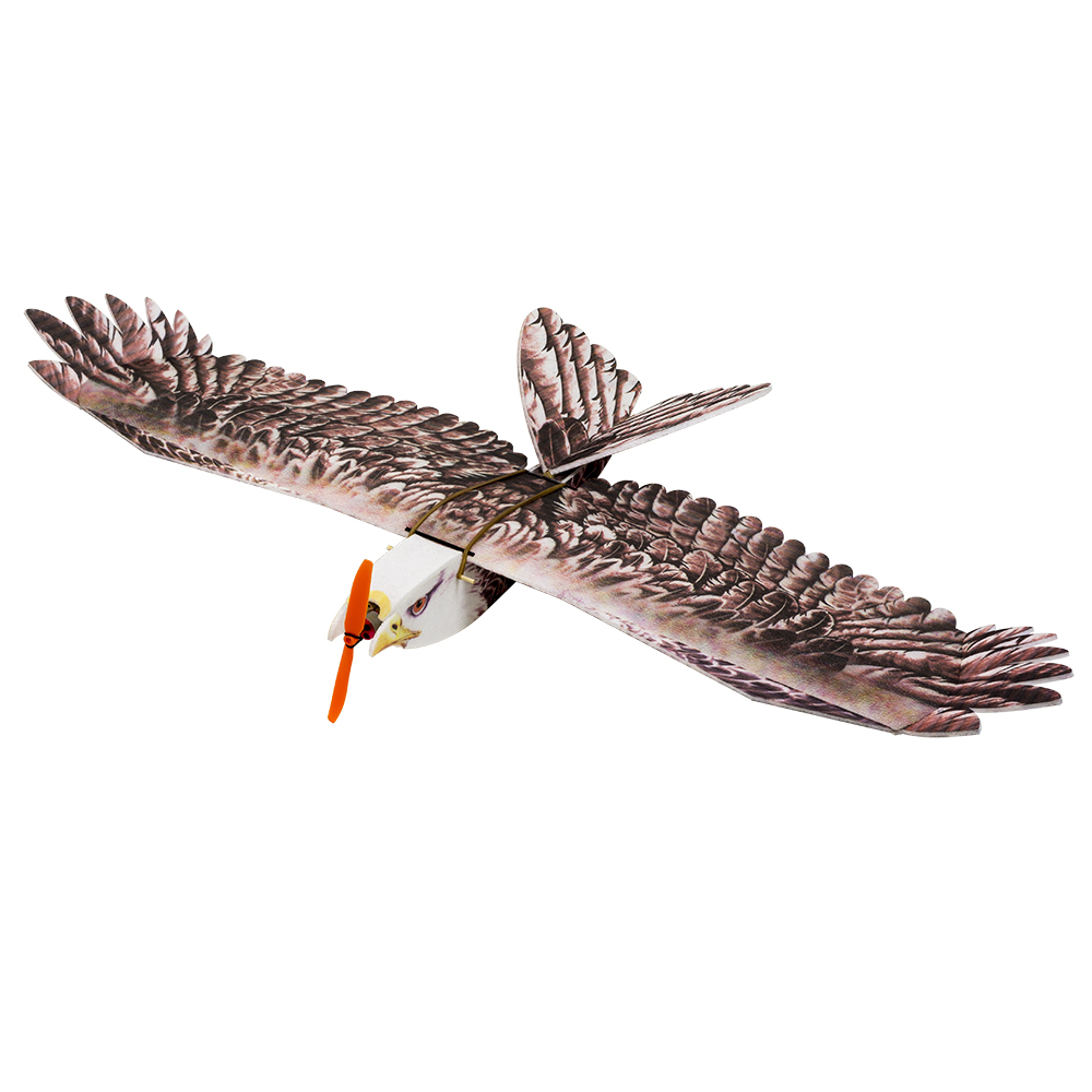 DW Hobby Eagle II EPP Airplane - Rc Hobby Experts avaliação e preço