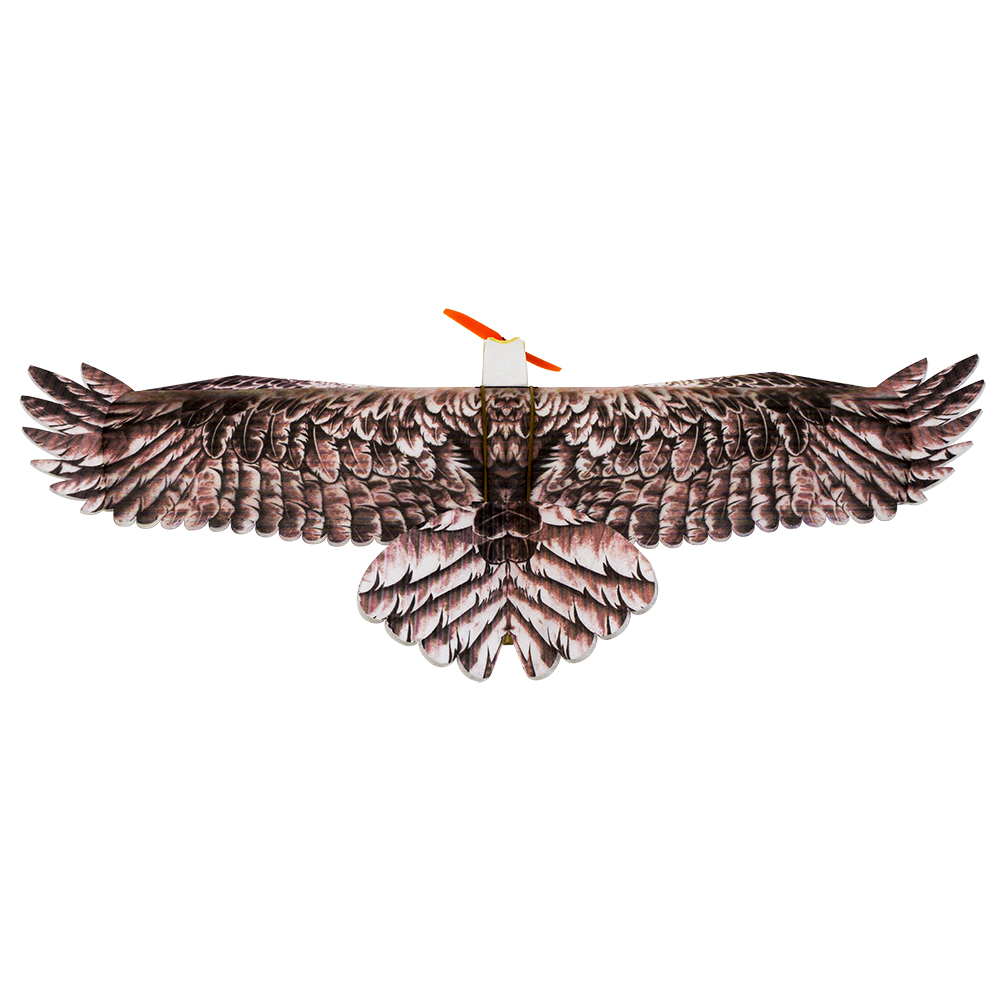 DW Hobby Eagle II EPP Airplane - Rc Hobby Experts avaliação e preço