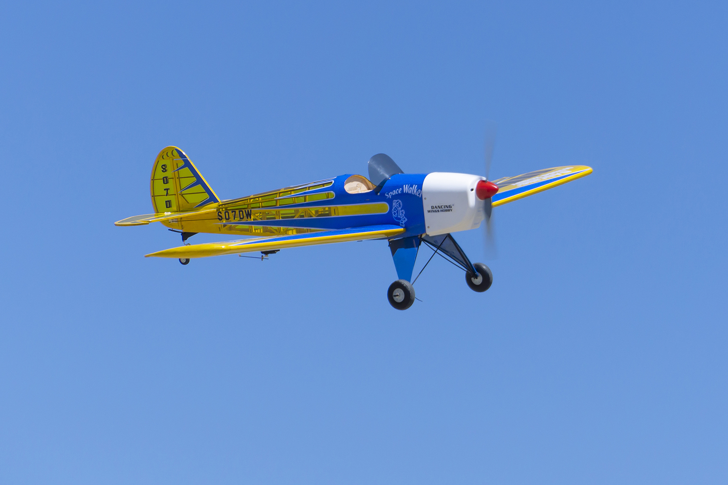 Dancing Wings Hobby 1.6M (63in - Rc Hobby Experts avaliação e preço